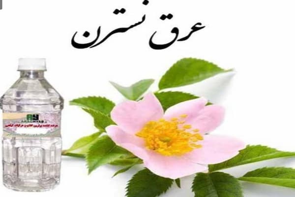 قیمت عرق نسترن + خرید عمده